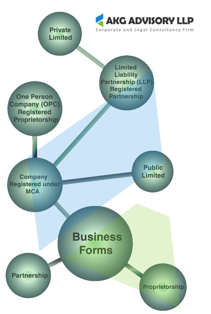 Business Structure